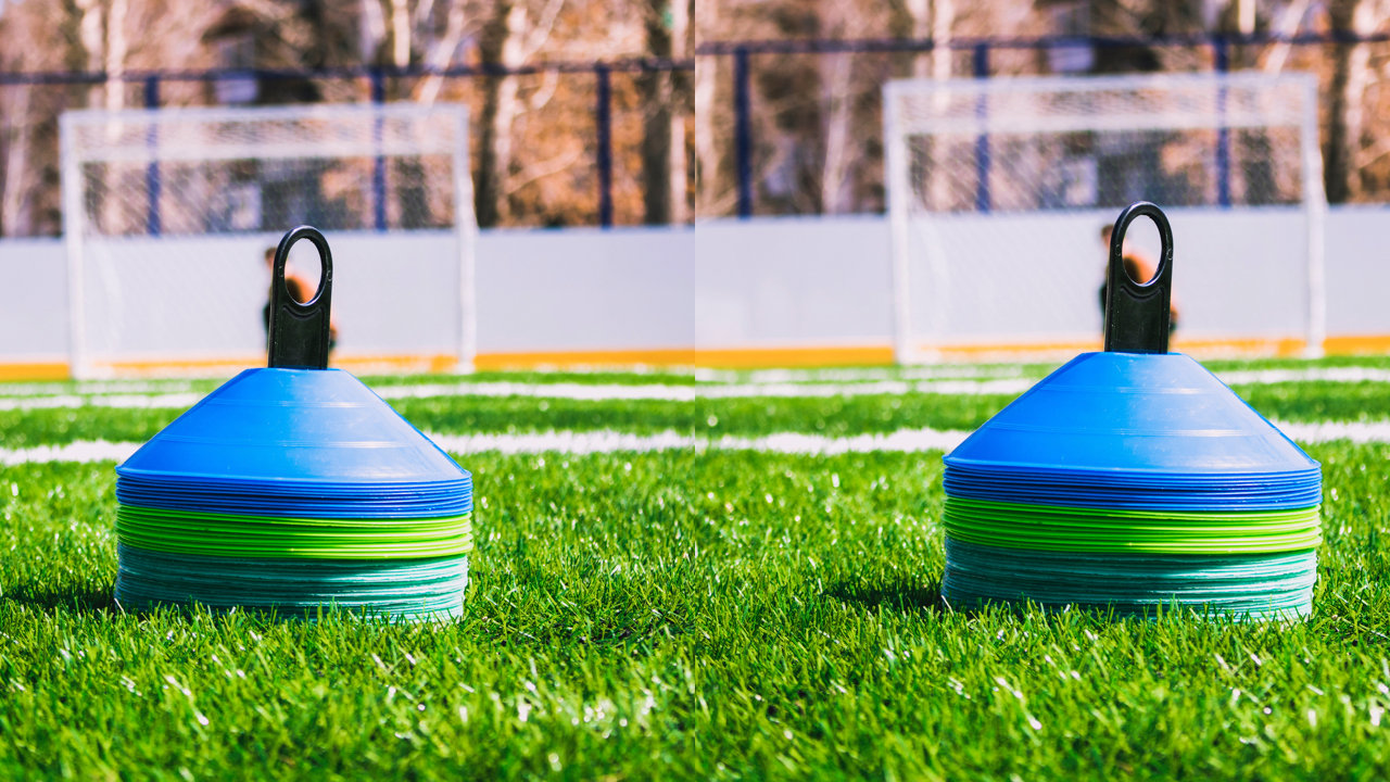 Training cones at Slades Farm Park